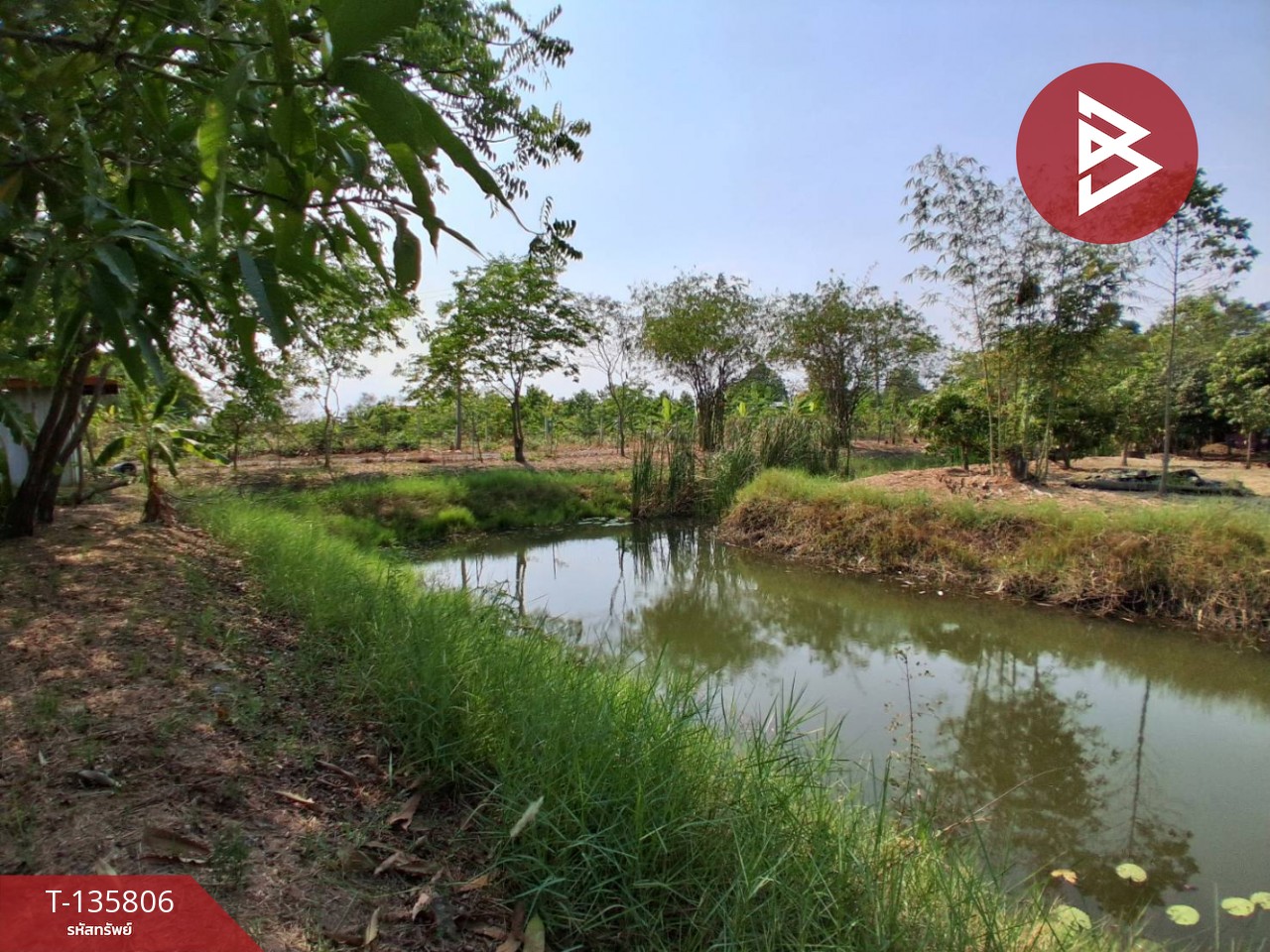 ขายที่ดิน เนื้อที่ 3 งาน 29.1 ตร.วา องครักษ์ นครนายก 10