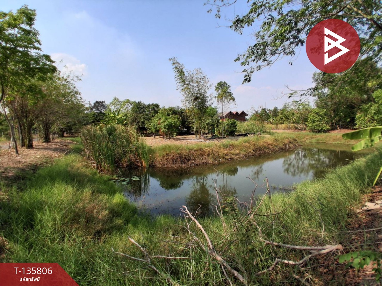 ขายที่ดิน เนื้อที่ 3 งาน 29.1 ตร.วา องครักษ์ นครนายก 7