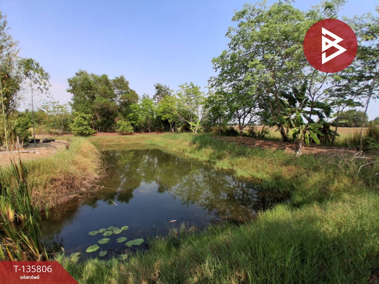 ขายที่ดิน เนื้อที่ 3 งาน 29.1 ตร.วา องครักษ์ นครนายก 4