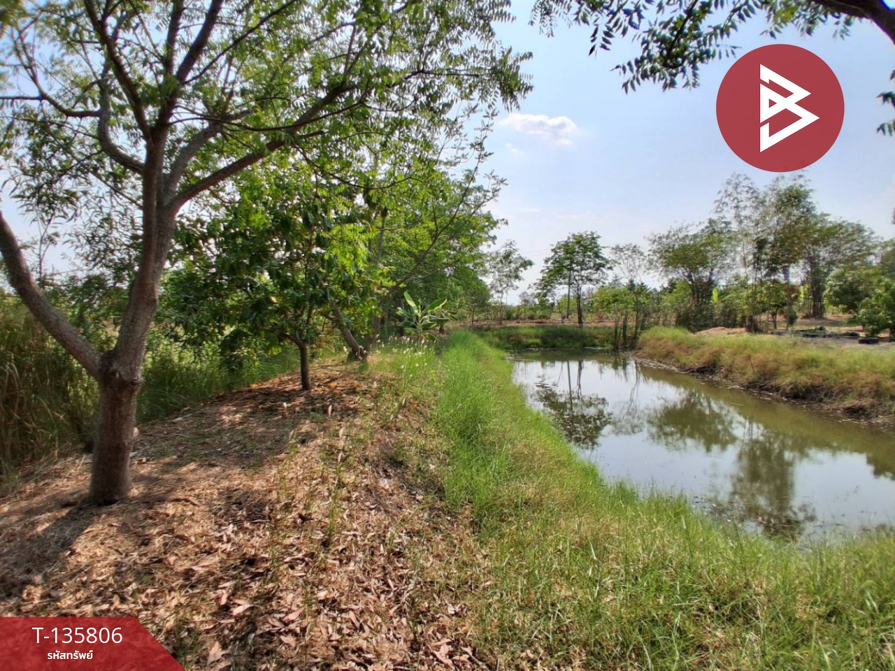 ขายที่ดิน เนื้อที่ 3 งาน 29.1 ตร.วา องครักษ์ นครนายก 6