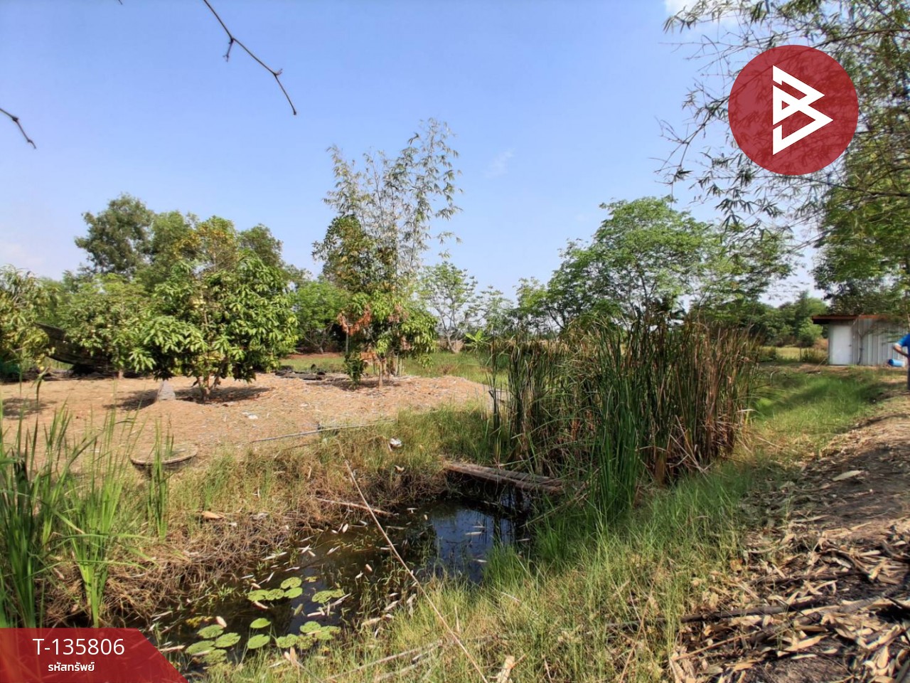 ขายที่ดิน เนื้อที่ 3 งาน 29.1 ตร.วา องครักษ์ นครนายก 2