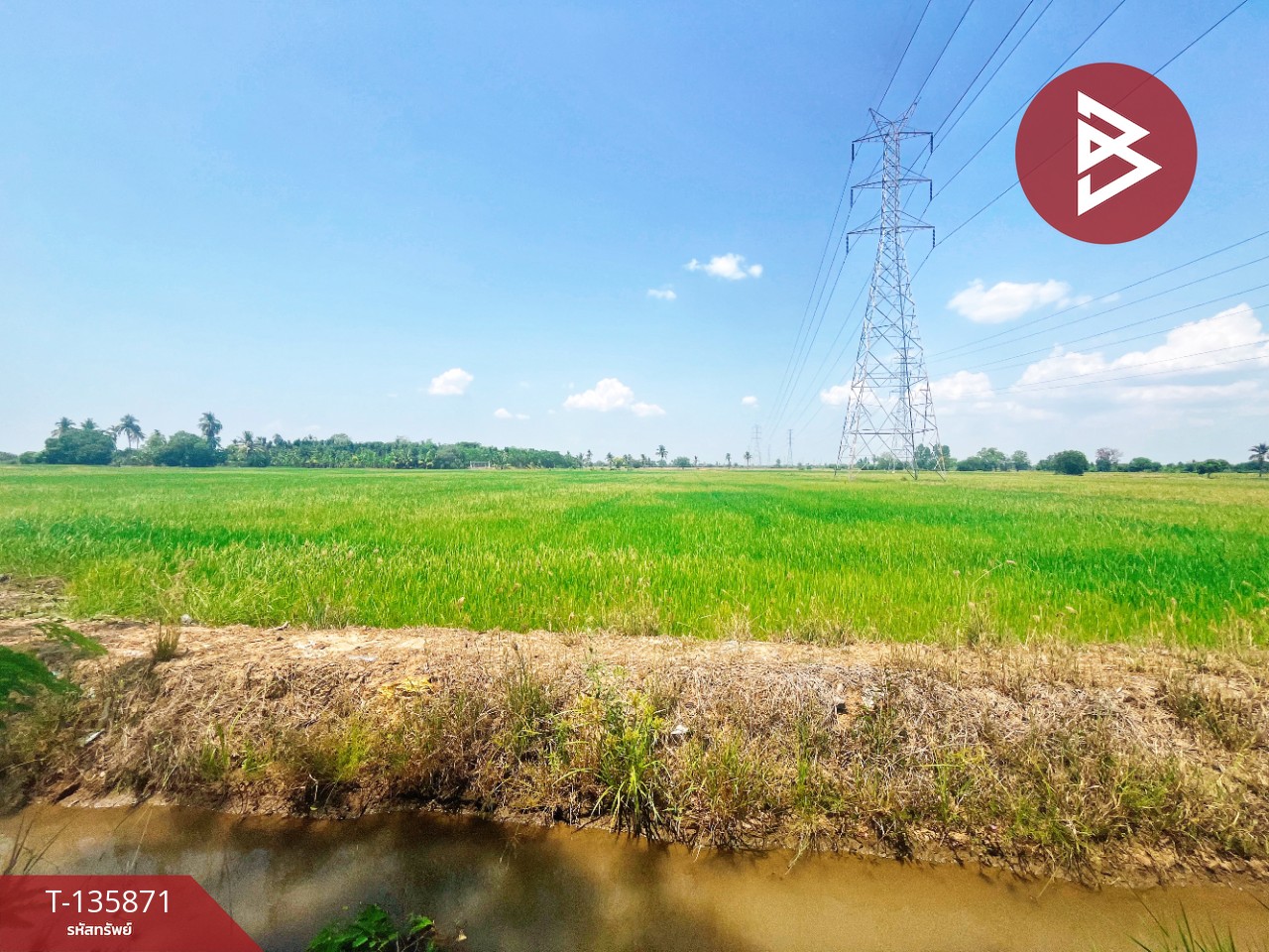 ขายที่ดิน เนื้อที่ 6 ไร่ 3 งาน 25.2 ตร.วา สรรพยา ชัยนาท 4