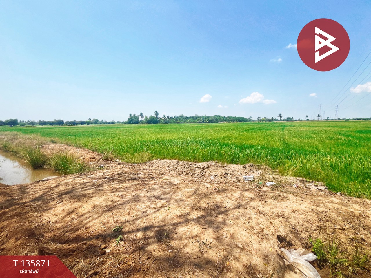 ขายที่ดิน เนื้อที่ 6 ไร่ 3 งาน 25.2 ตร.วา สรรพยา ชัยนาท 5