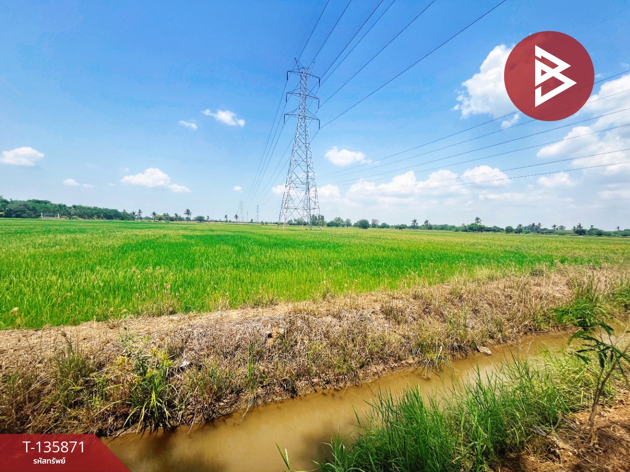 ขายที่ดิน เนื้อที่ 6 ไร่ 3 งาน 25.2 ตร.วา สรรพยา ชัยนาท 3