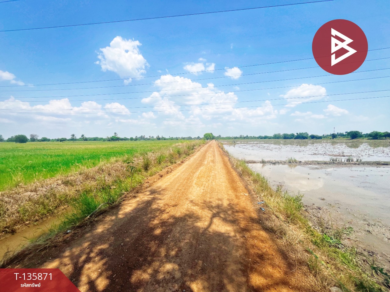 ขายที่ดิน เนื้อที่ 6 ไร่ 3 งาน 25.2 ตร.วา สรรพยา ชัยนาท 2