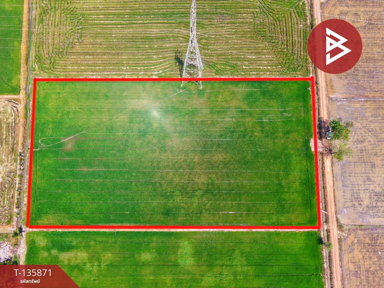 ขายที่ดิน เนื้อที่ 6 ไร่ 3 งาน 25.2 ตร.วา สรรพยา ชัยนาท 10