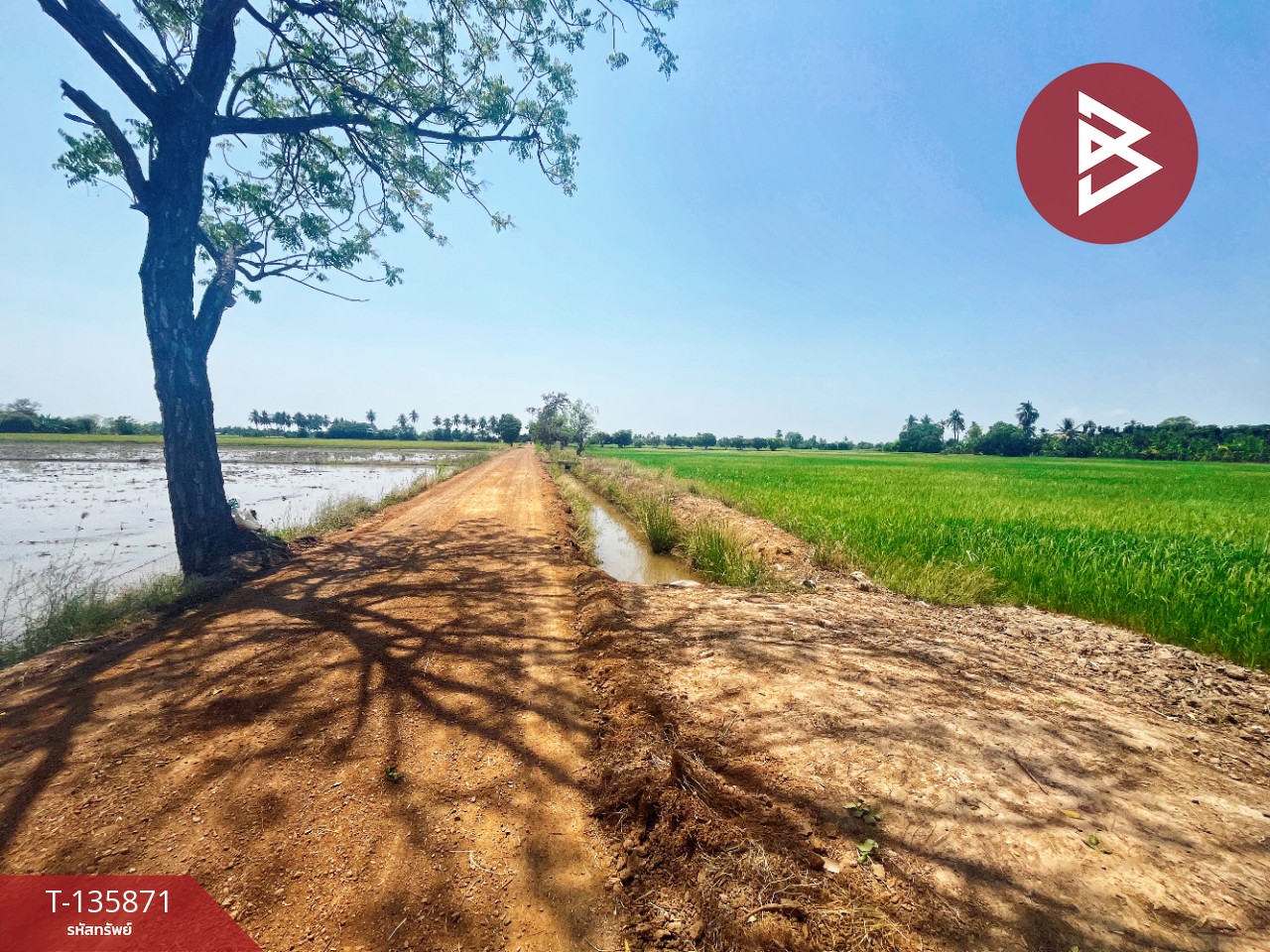 ขายที่ดิน เนื้อที่ 6 ไร่ 3 งาน 25.2 ตร.วา สรรพยา ชัยนาท 8