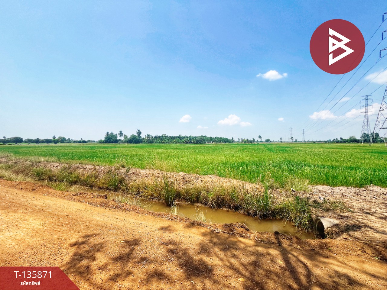 ขายที่ดิน เนื้อที่ 6 ไร่ 3 งาน 25.2 ตร.วา สรรพยา ชัยนาท 6