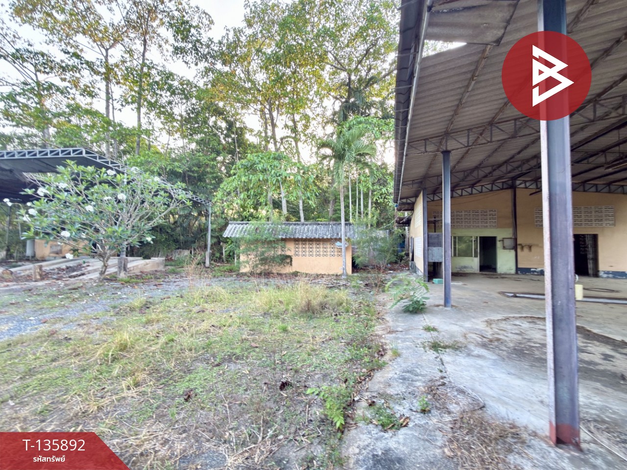 ขายที่ดิน เนื้อที่ 2 ไร่ 1 งาน 2 ตร.วา เพ ระยอง 6