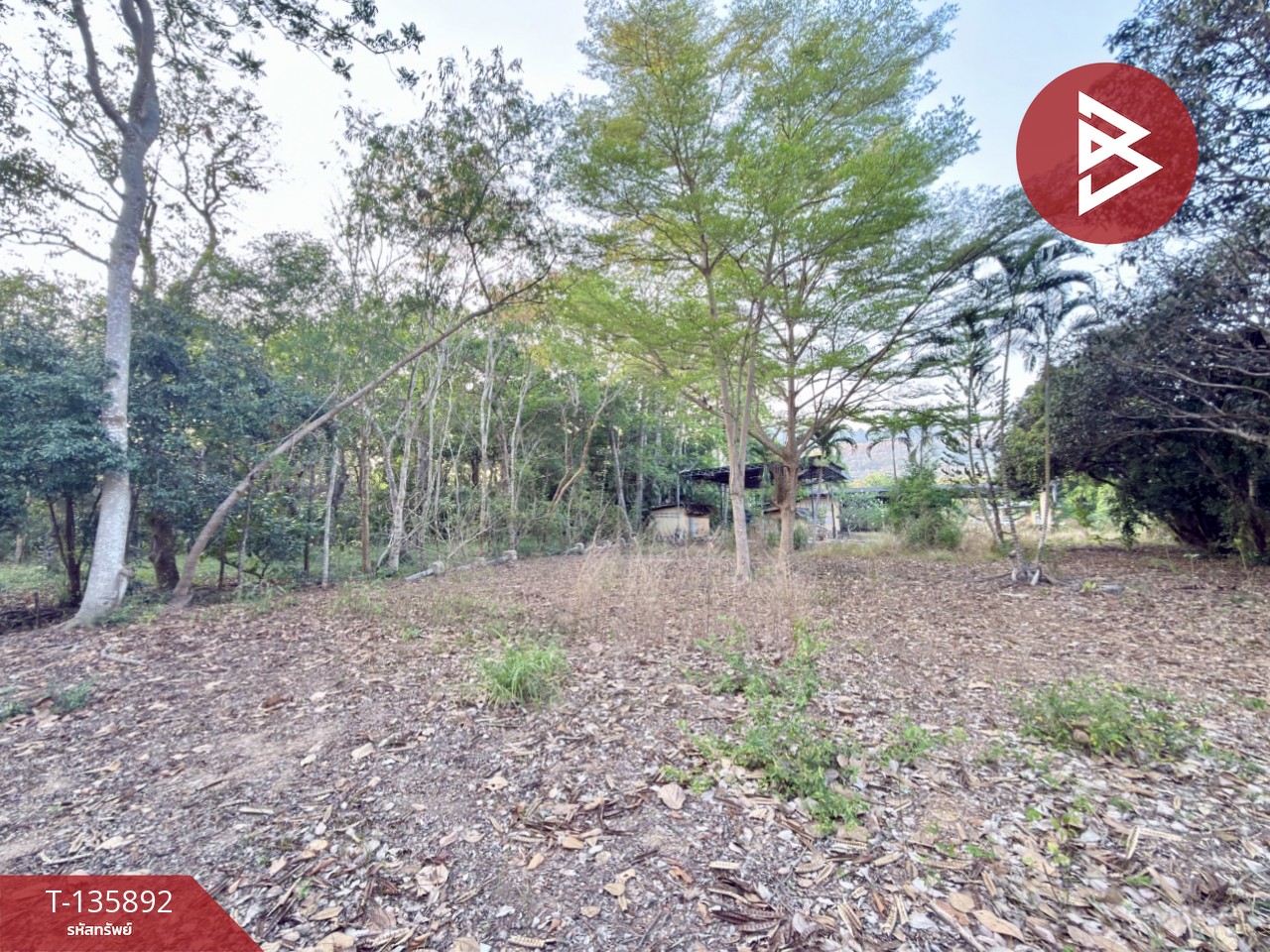 ขายที่ดิน เนื้อที่ 2 ไร่ 1 งาน 2 ตร.วา เพ ระยอง 10