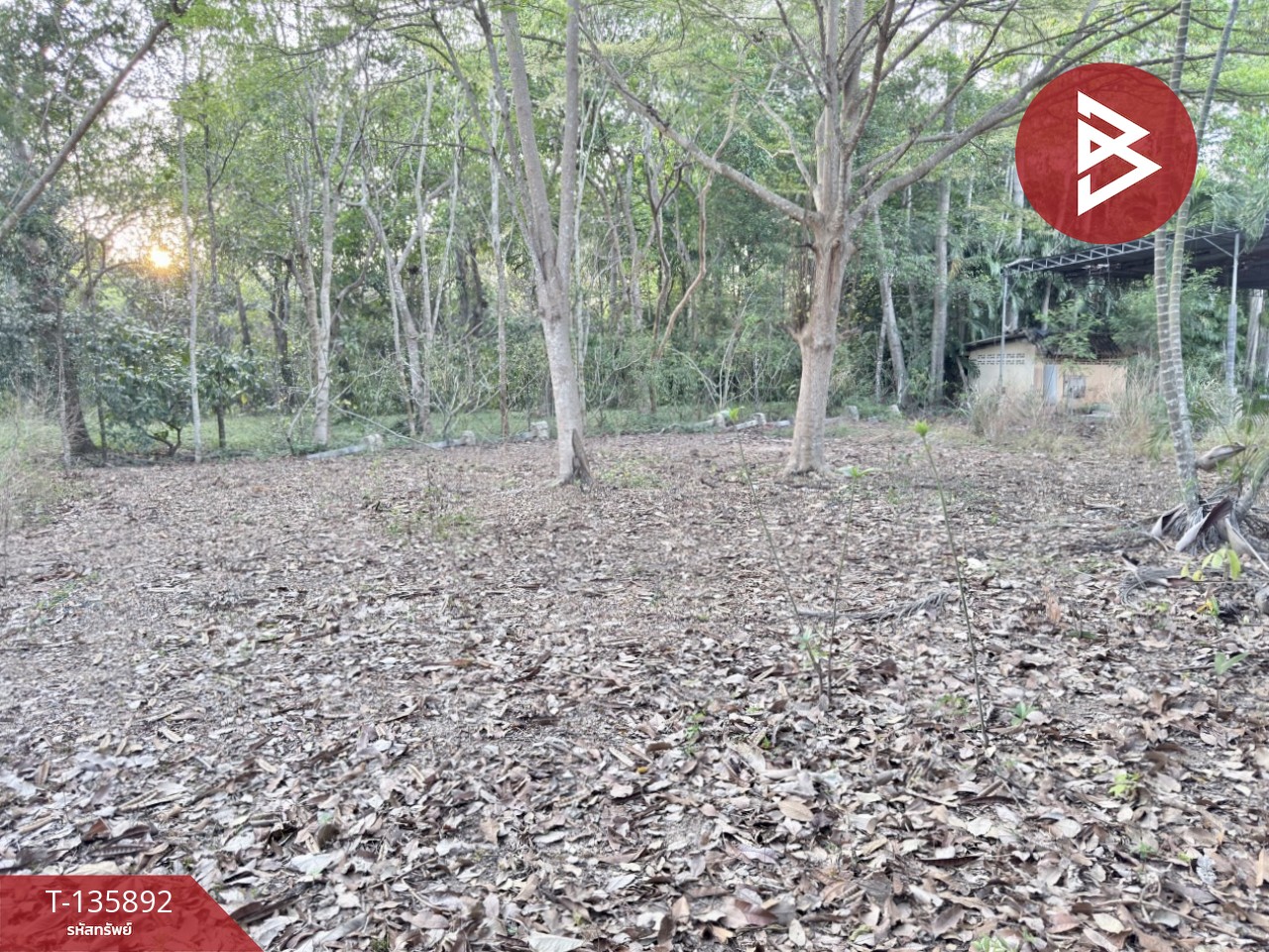 ขายที่ดิน เนื้อที่ 2 ไร่ 1 งาน 2 ตร.วา เพ ระยอง 14