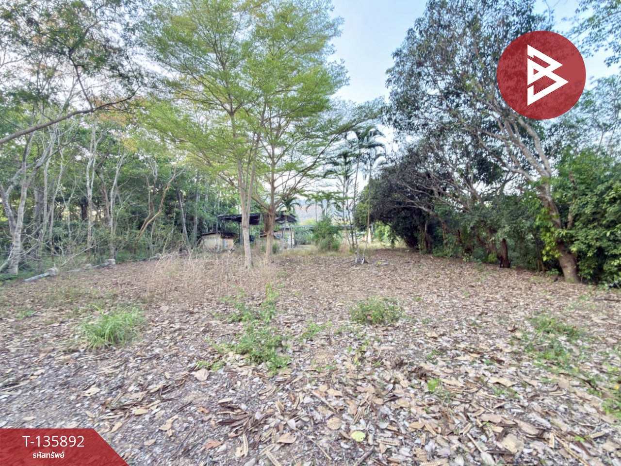 ขายที่ดิน เนื้อที่ 2 ไร่ 1 งาน 2 ตร.วา เพ ระยอง 9