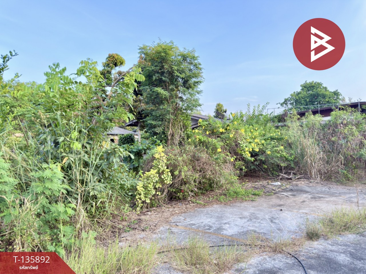 ขายที่ดิน เนื้อที่ 2 ไร่ 1 งาน 2 ตร.วา เพ ระยอง 8