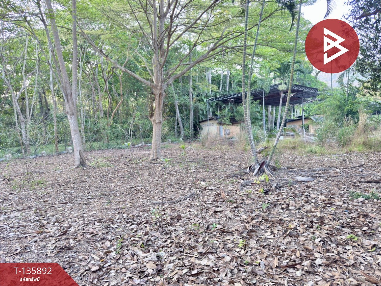 ขายที่ดิน เนื้อที่ 2 ไร่ 1 งาน 2 ตร.วา เพ ระยอง 12