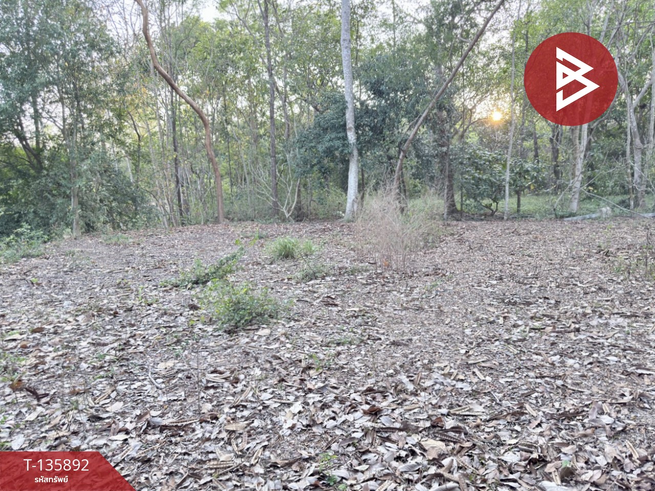 ขายที่ดิน เนื้อที่ 2 ไร่ 1 งาน 2 ตร.วา เพ ระยอง 13