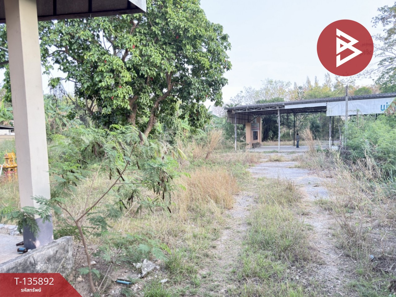 ขายที่ดิน เนื้อที่ 2 ไร่ 1 งาน 2 ตร.วา เพ ระยอง 11