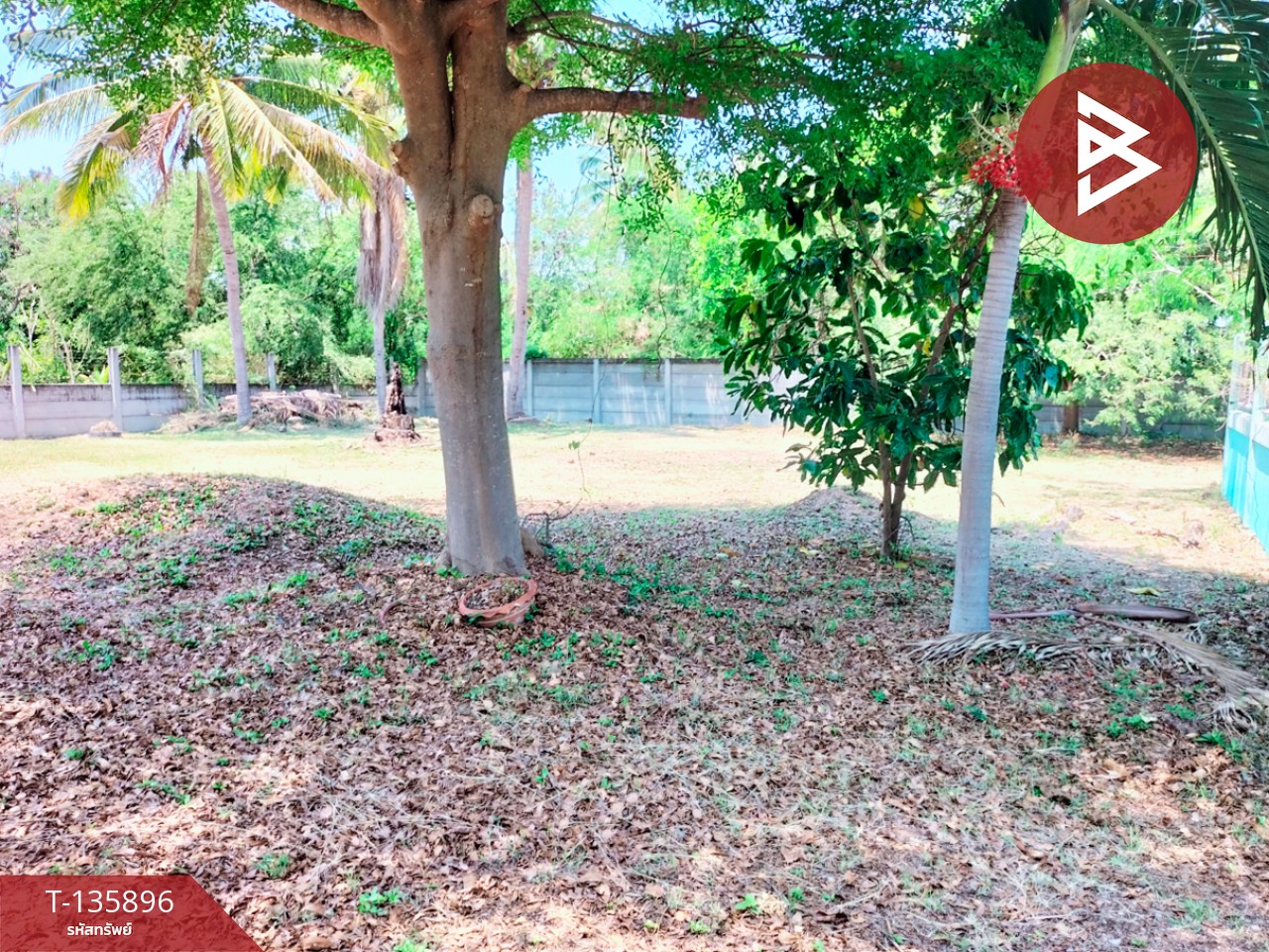 ขายบ้านเดี่ยว เนื้อที่ 3 งาน เขาย้อย เพชรบุรี 10