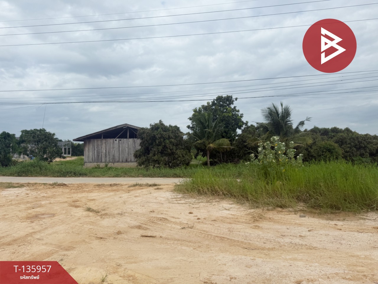 ขายที่ดิน เนื้อที่เริ่มต้น 2 งาน  เหมืองง่า ลำพูน 6