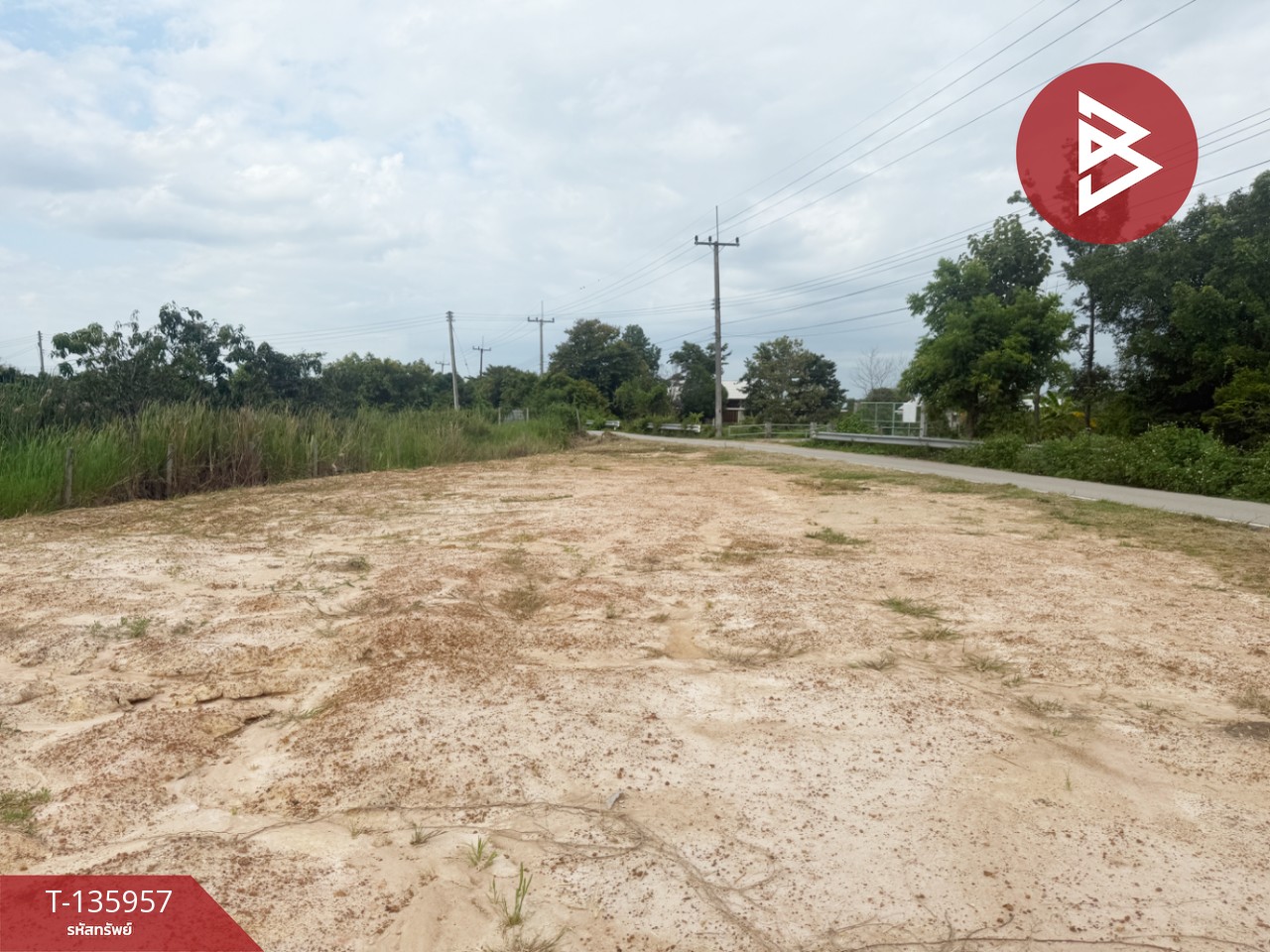 ขายที่ดิน เนื้อที่เริ่มต้น 2 งาน  เหมืองง่า ลำพูน 11