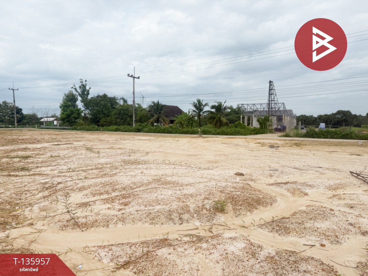 ขายที่ดิน เนื้อที่เริ่มต้น 2 งาน  เหมืองง่า ลำพูน 3