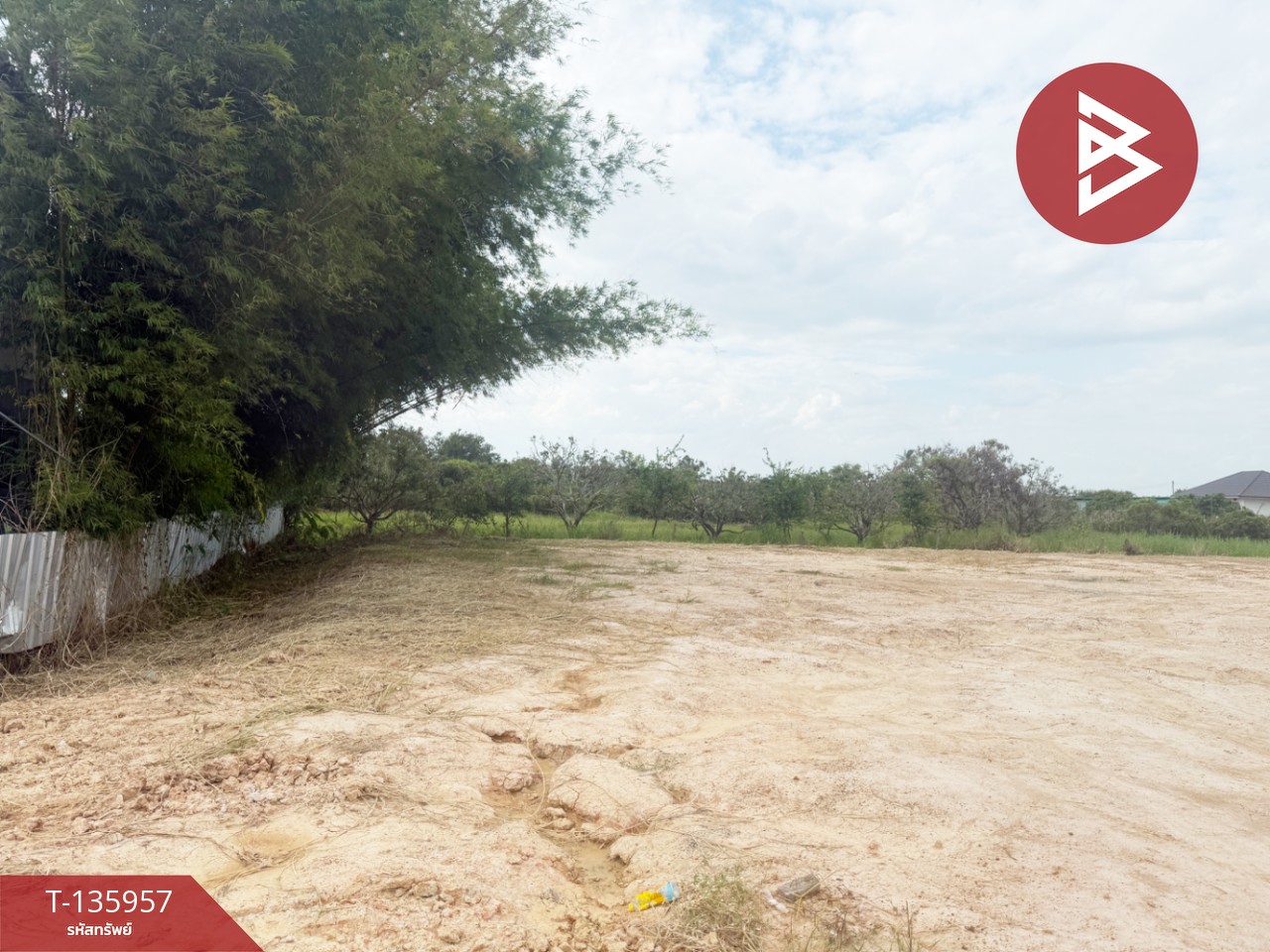 ขายที่ดิน เนื้อที่เริ่มต้น 2 งาน  เหมืองง่า ลำพูน 9