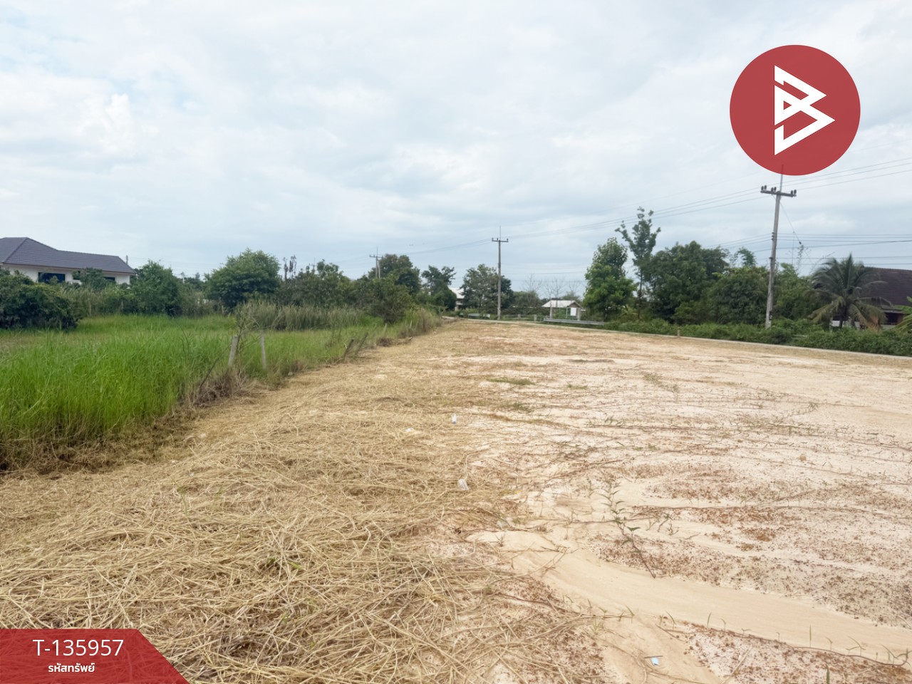 ขายที่ดิน เนื้อที่เริ่มต้น 2 งาน  เหมืองง่า ลำพูน 8