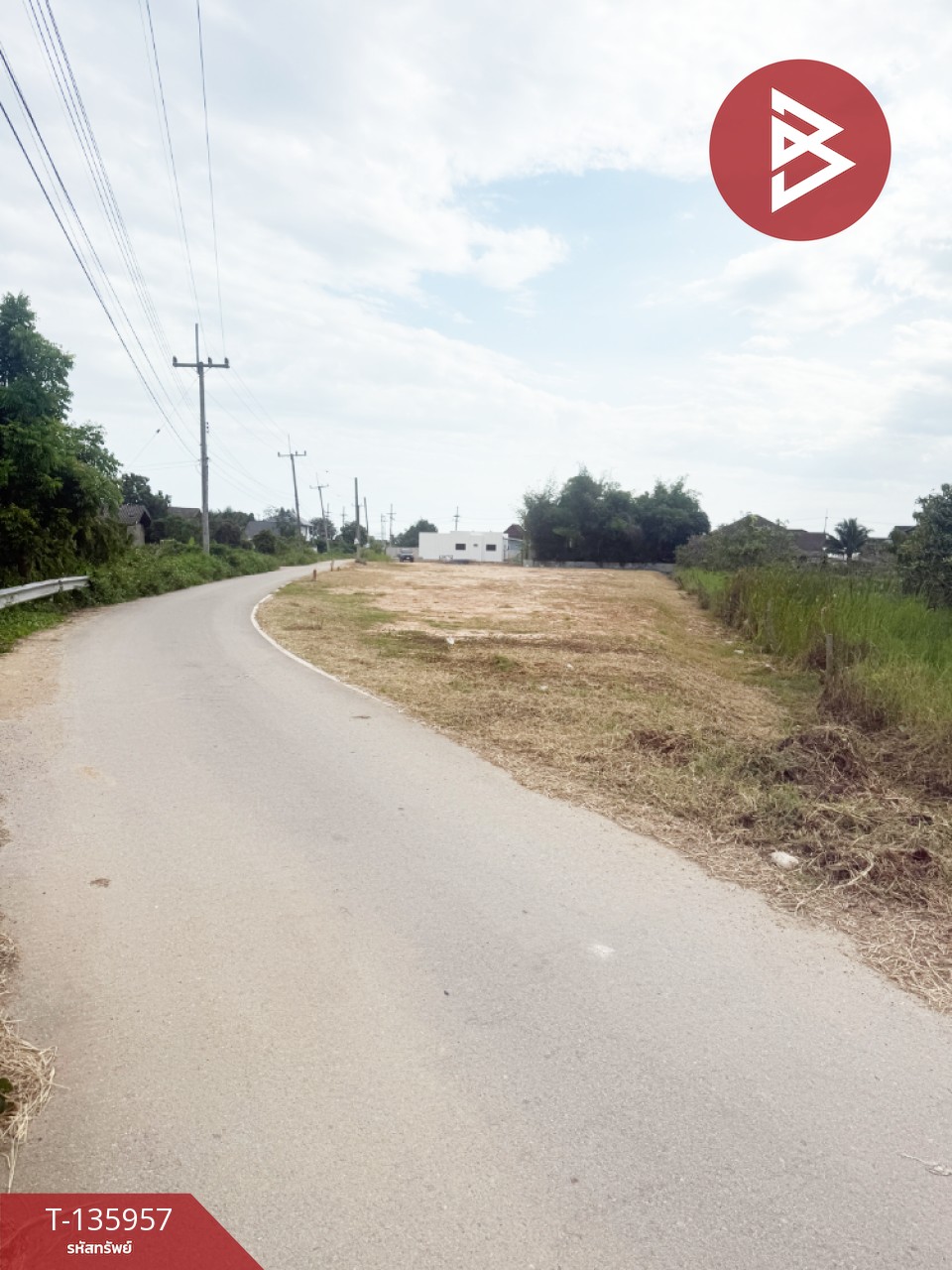 ขายที่ดิน เนื้อที่เริ่มต้น 2 งาน  เหมืองง่า ลำพูน 13