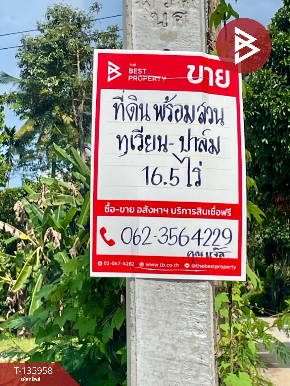 ขายที่ดินพร้อมสวน เนื้อที่ 16 ไร่ 2 งาน 89 ตร.วา นบพิตำ นครศรีธรรมราช 13