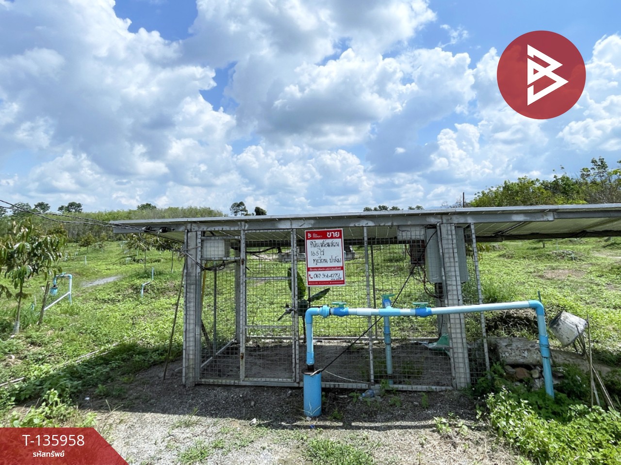 ขายที่ดินพร้อมสวน เนื้อที่ 16 ไร่ 2 งาน 89 ตร.วา นบพิตำ นครศรีธรรมราช 4