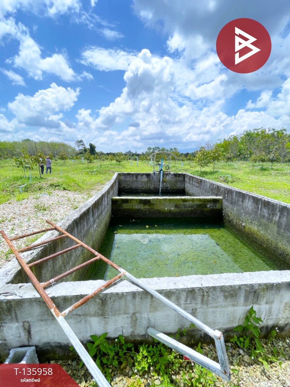 ขายที่ดินพร้อมสวน เนื้อที่ 16 ไร่ 2 งาน 89 ตร.วา นบพิตำ นครศรีธรรมราช 6