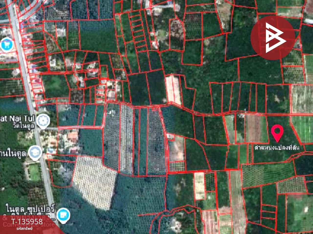 ขายที่ดินพร้อมสวน เนื้อที่ 16 ไร่ 2 งาน 89 ตร.วา นบพิตำ นครศรีธรรมราช 14