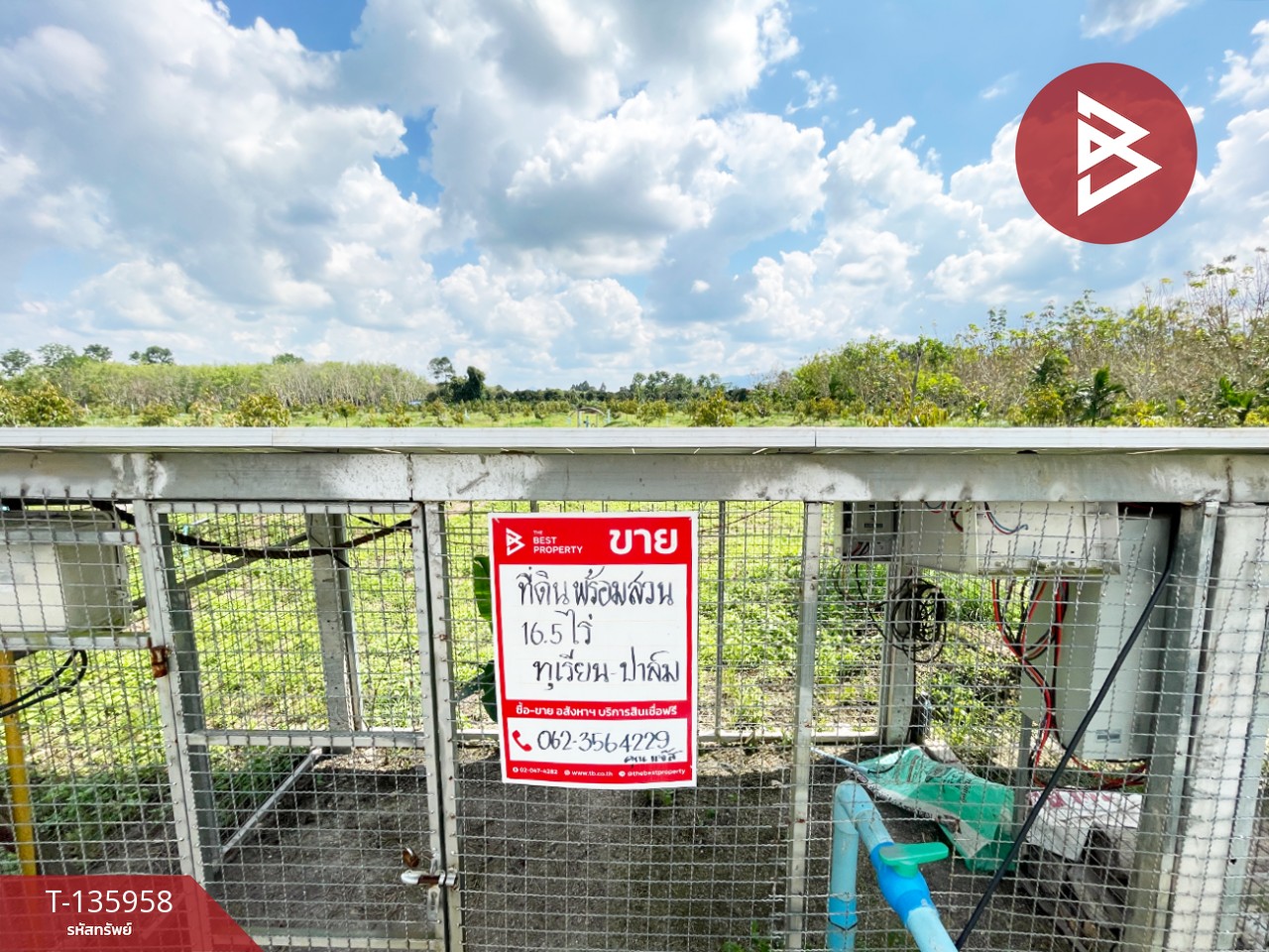 ขายที่ดินพร้อมสวน เนื้อที่ 16 ไร่ 2 งาน 89 ตร.วา นบพิตำ นครศรีธรรมราช 5