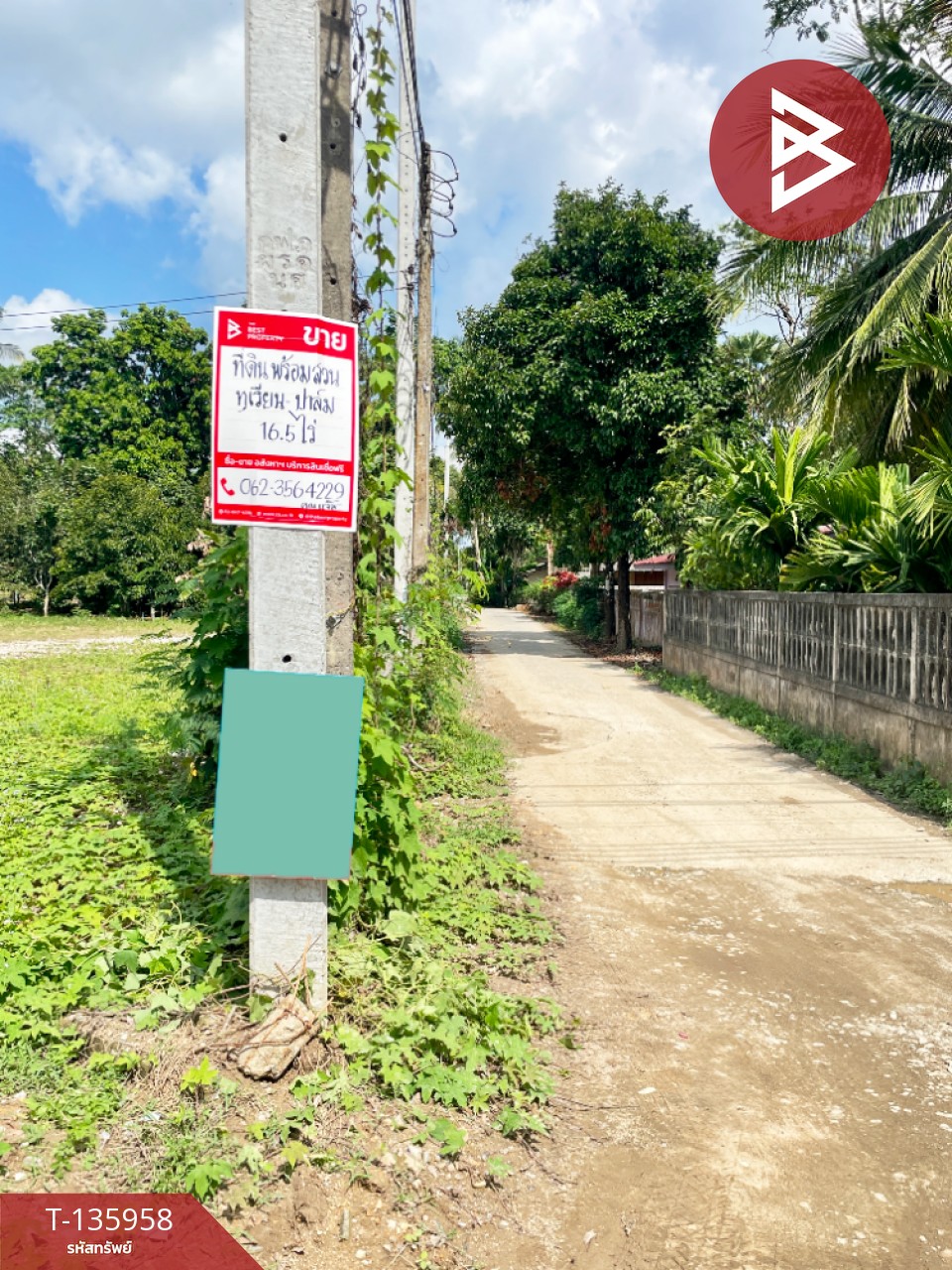 ขายที่ดินพร้อมสวน เนื้อที่ 16 ไร่ 2 งาน 89 ตร.วา นบพิตำ นครศรีธรรมราช 12