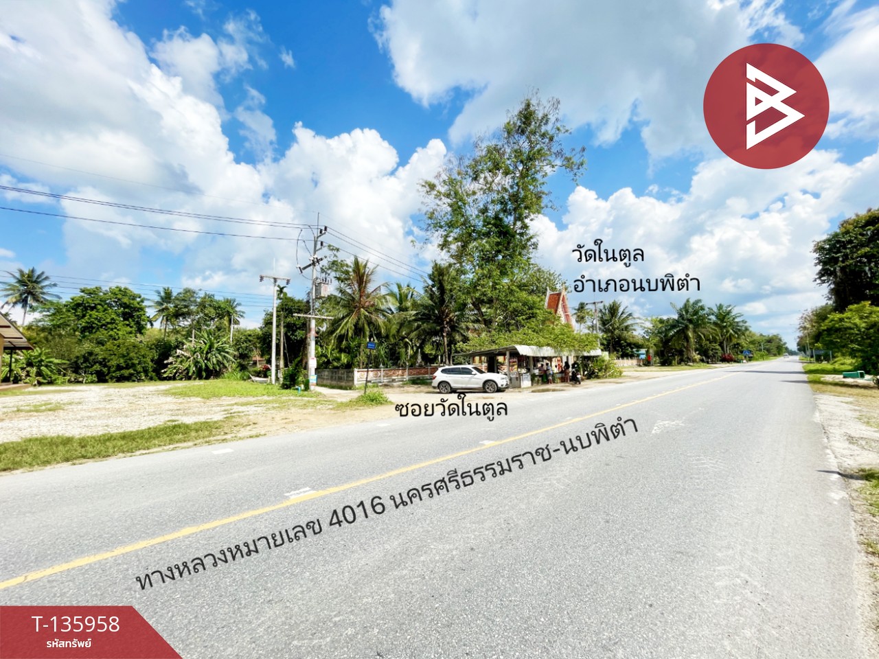 ขายที่ดินพร้อมสวน เนื้อที่ 16 ไร่ 2 งาน 89 ตร.วา นบพิตำ นครศรีธรรมราช 9