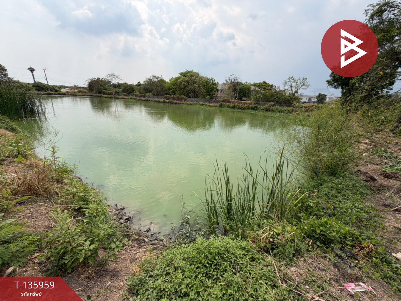 ขายที่ดินแปลงสวย เนื้อที่ 3 ไร่ 11 ตารางวา ทำเลดี อ.บางเสาธง จ.สมุทรปราการ 4