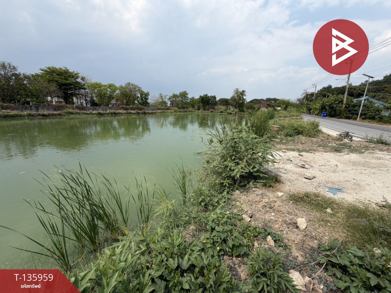 ขายที่ดินแปลงสวย เนื้อที่ 3 ไร่ 11 ตารางวา ทำเลดี อ.บางเสาธง จ.สมุทรปราการ 5