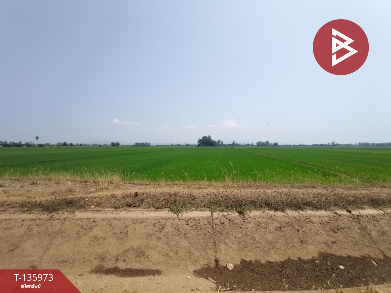 ขายที่ดิน เนื้อที่ 8 ไร่ 52 ตร.วา พิชัย อุตรดิตถ์ 4