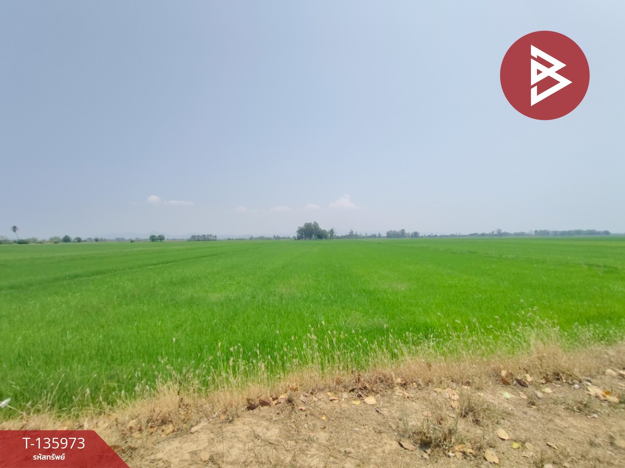 ขายที่ดิน เนื้อที่ 8 ไร่ 52 ตร.วา พิชัย อุตรดิตถ์ 2