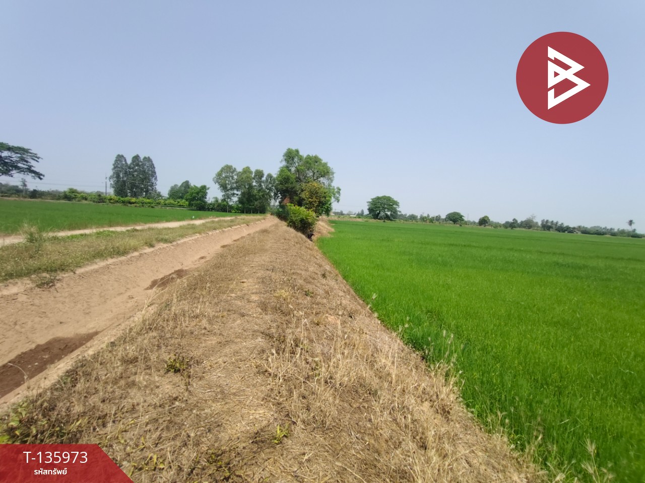 ขายที่ดิน เนื้อที่ 8 ไร่ 52 ตร.วา พิชัย อุตรดิตถ์ 7