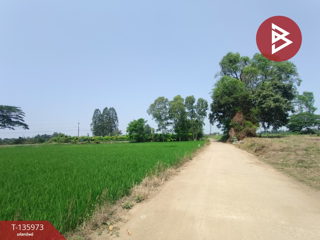 ขายที่ดิน เนื้อที่ 8 ไร่ 52 ตร.วา พิชัย อุตรดิตถ์ 8