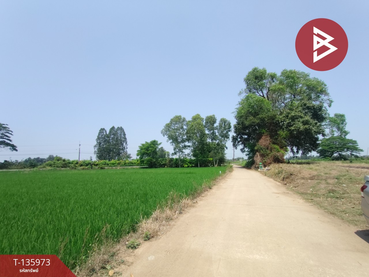 ขายที่ดิน เนื้อที่ 8 ไร่ 52 ตร.วา พิชัย อุตรดิตถ์ 10