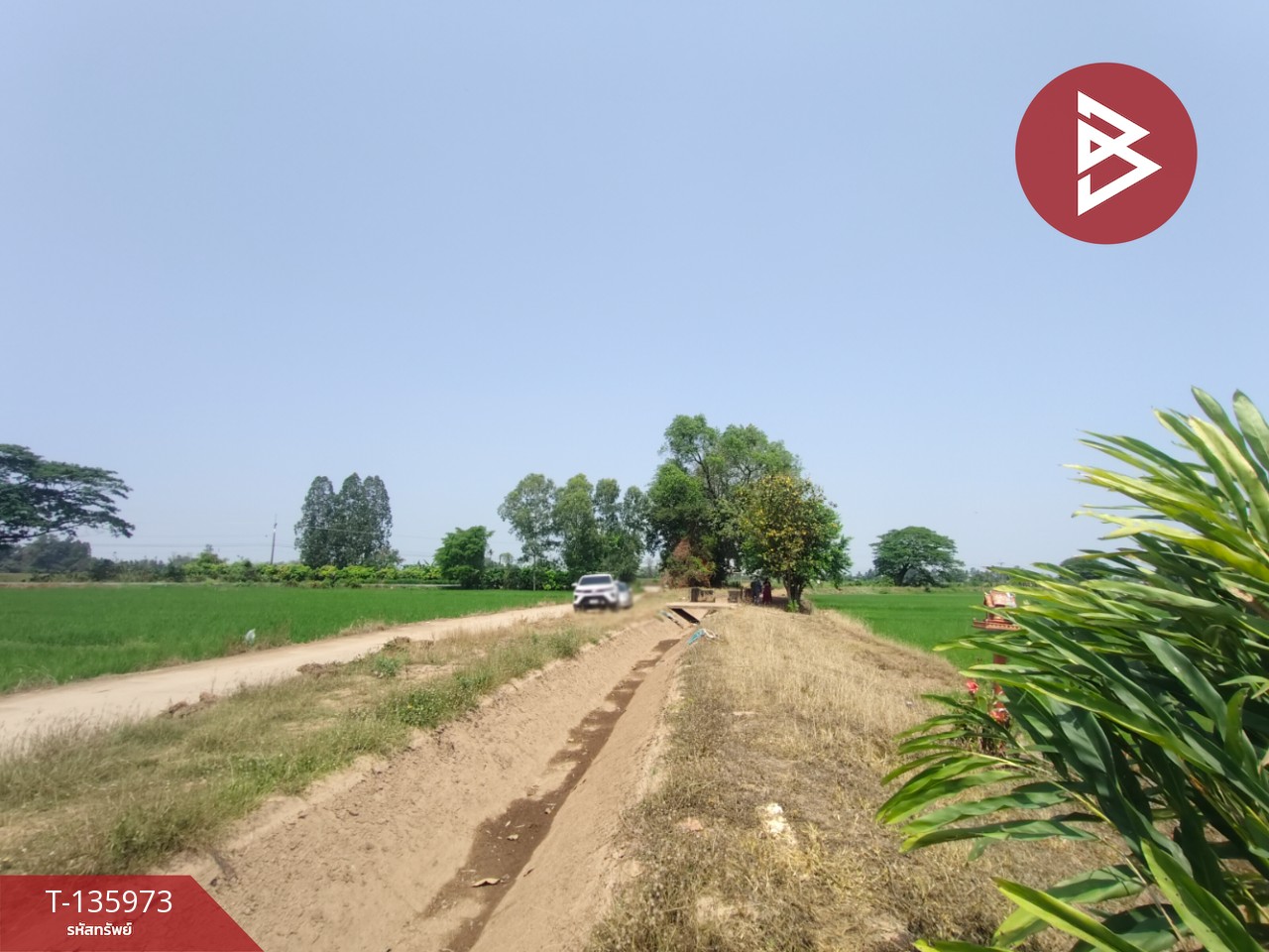 ขายที่ดิน เนื้อที่ 8 ไร่ 52 ตร.วา พิชัย อุตรดิตถ์ 6