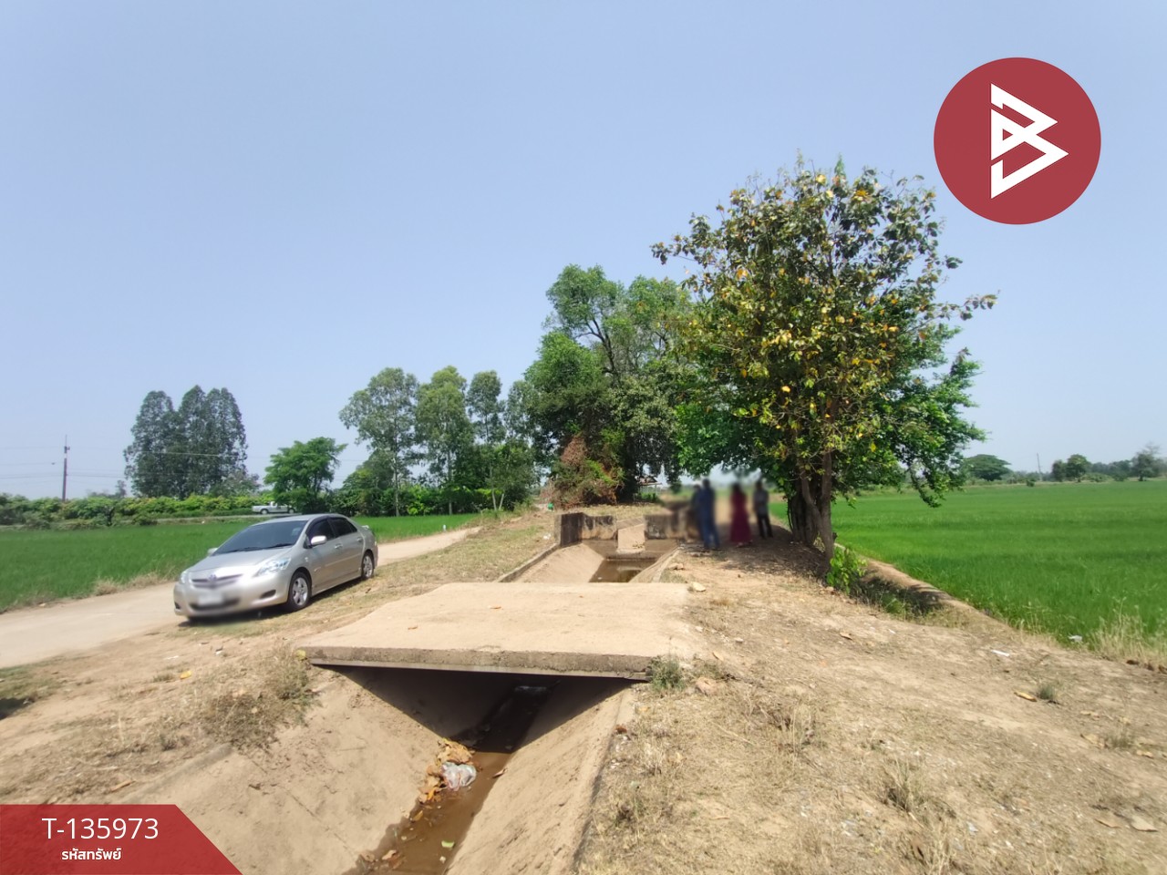 ขายที่ดิน เนื้อที่ 8 ไร่ 52 ตร.วา พิชัย อุตรดิตถ์ 11