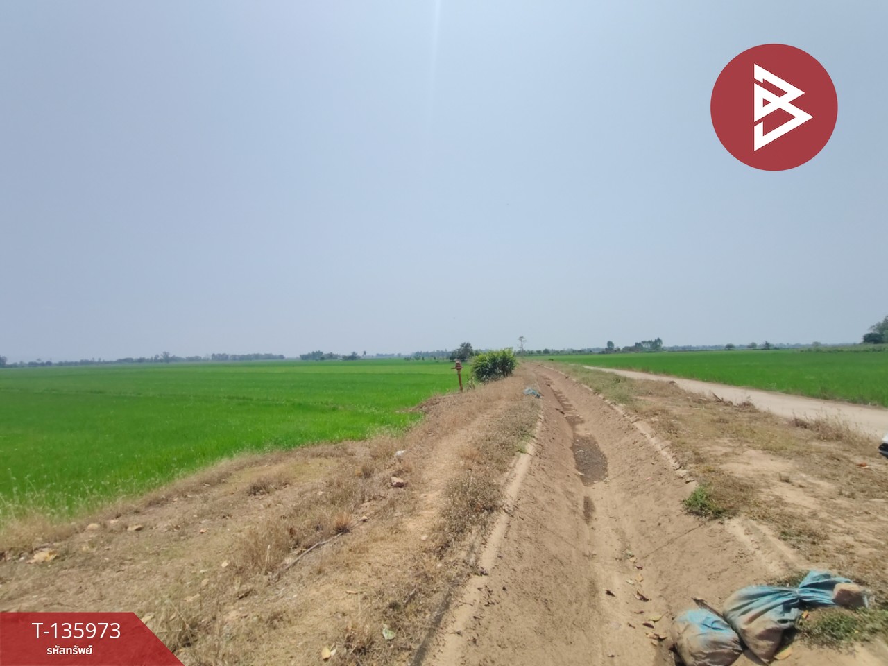 ขายที่ดิน เนื้อที่ 8 ไร่ 52 ตร.วา พิชัย อุตรดิตถ์ 9