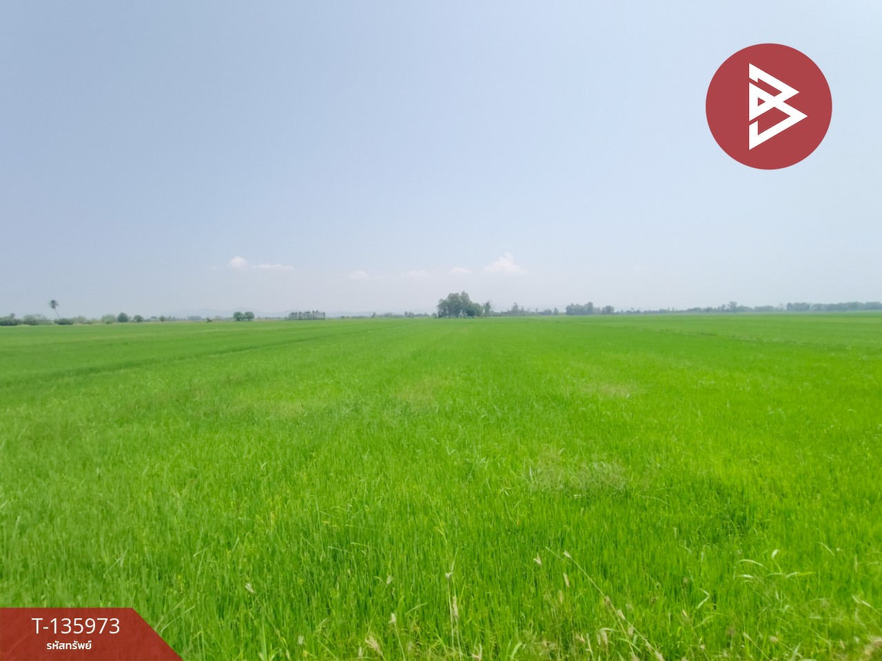 ขายที่ดิน เนื้อที่ 8 ไร่ 52 ตร.วา พิชัย อุตรดิตถ์ 1