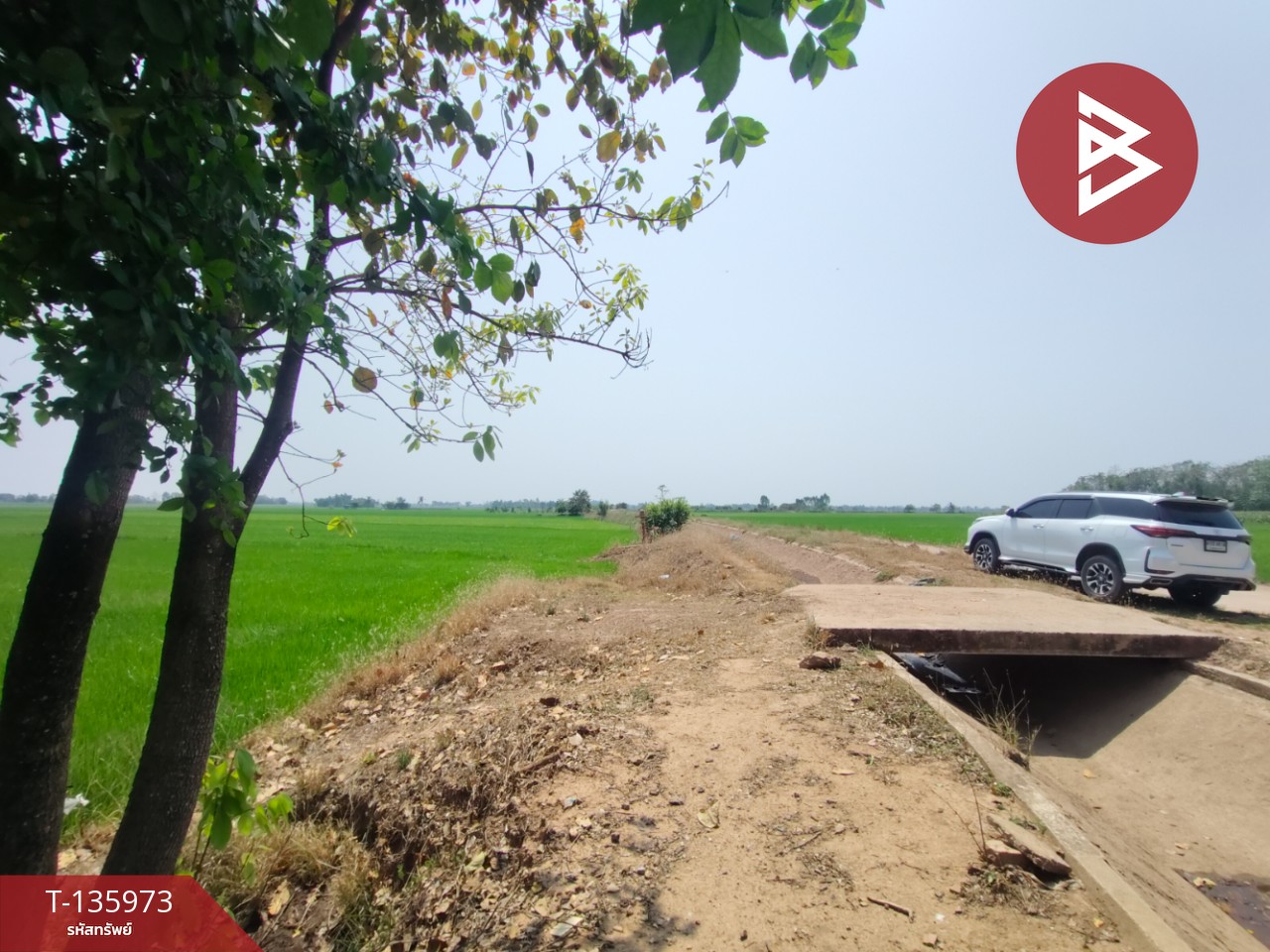 ขายที่ดิน เนื้อที่ 8 ไร่ 52 ตร.วา พิชัย อุตรดิตถ์ 13