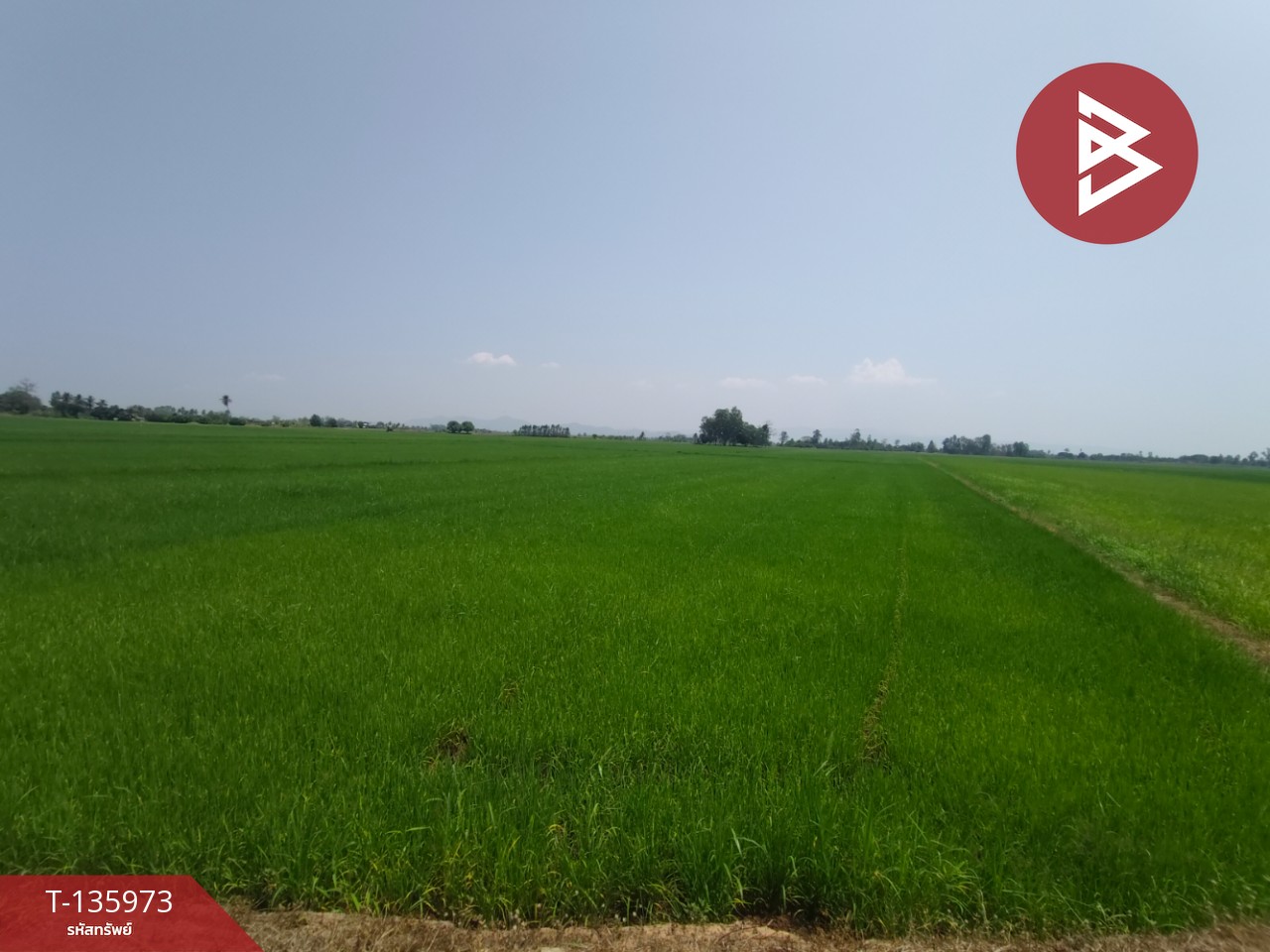 ขายที่ดิน เนื้อที่ 8 ไร่ 52 ตร.วา พิชัย อุตรดิตถ์ 5