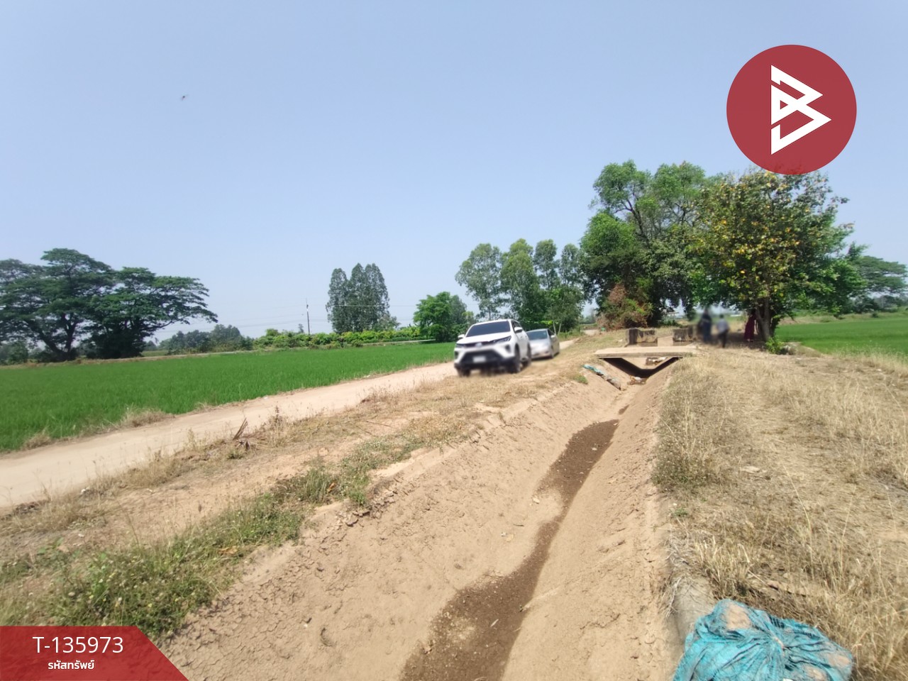 ขายที่ดิน เนื้อที่ 8 ไร่ 52 ตร.วา พิชัย อุตรดิตถ์ 12