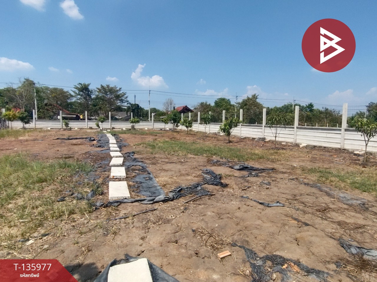 ขายที่ดิน เนื้อที่ 2 งาน คลองหลวง ปทุมธานี 7