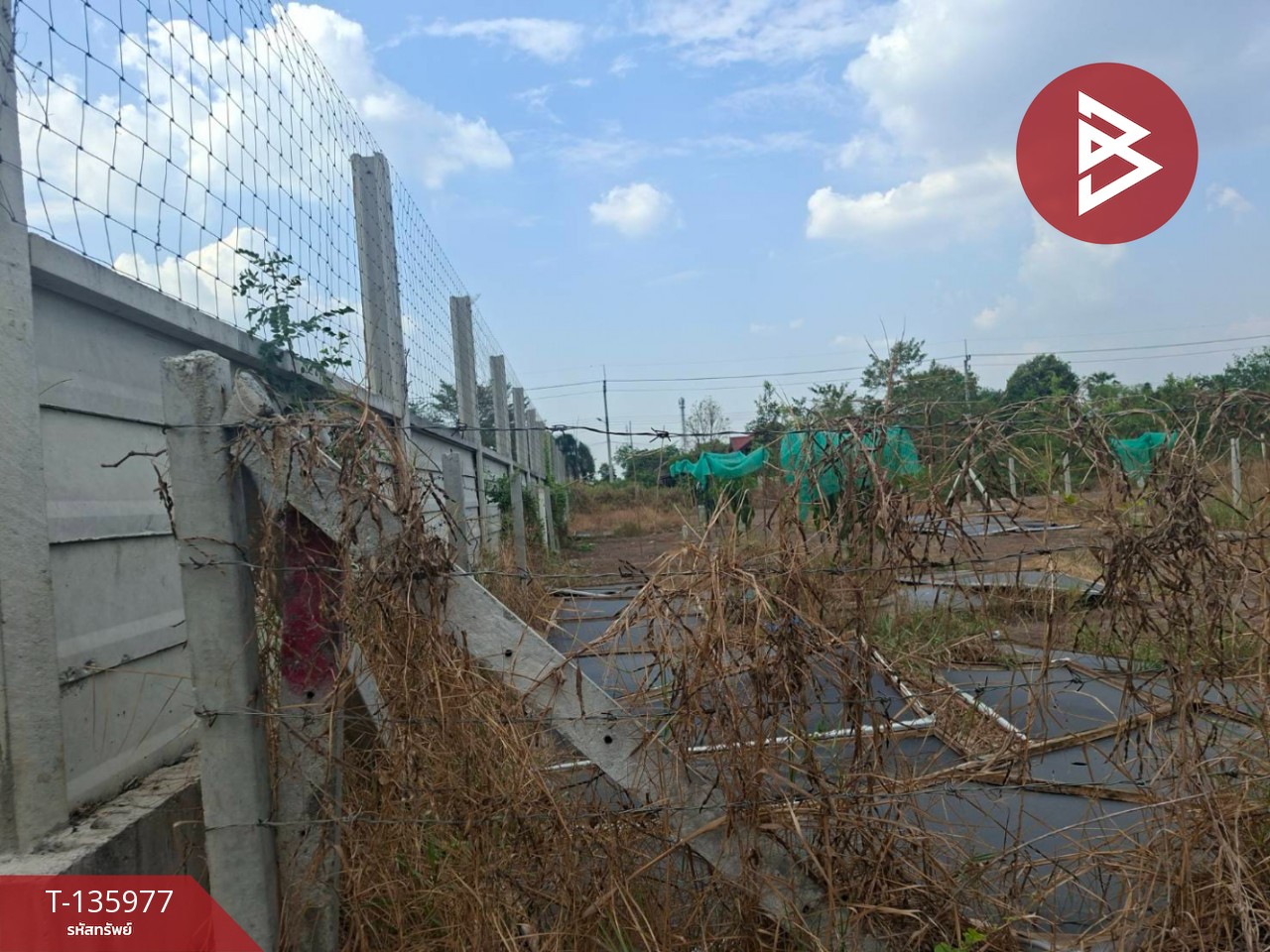 ขายที่ดิน เนื้อที่ 2 งาน คลองหลวง ปทุมธานี 8